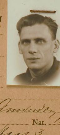 Arie M. Linzell