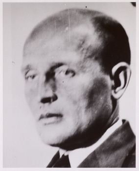 Afbeelding/portret van Franciscus Joannes Cornelius Swolfs