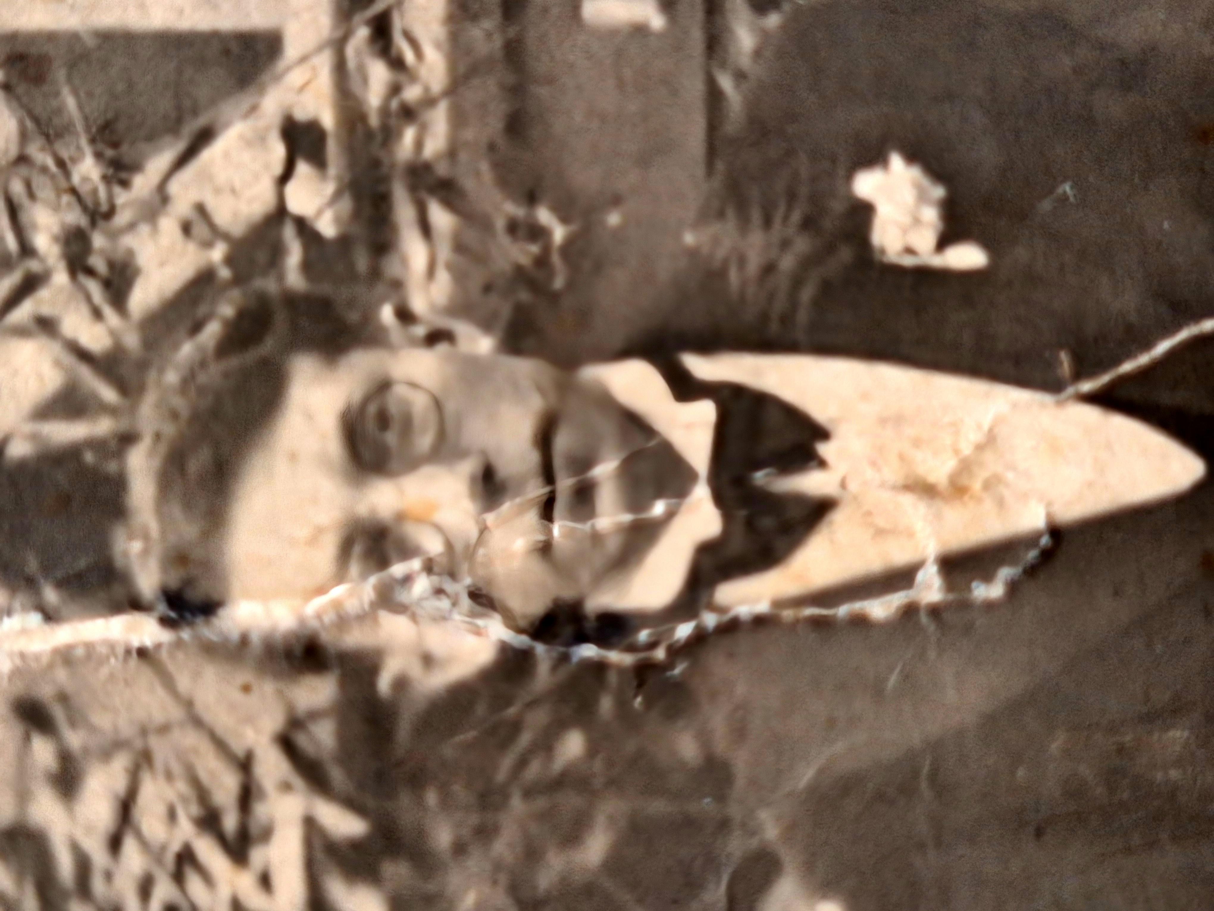 Simon Dingsdag, 1939