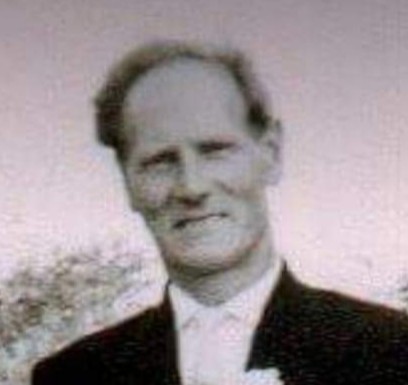 Aloijsius Wilhelmus Vlamings