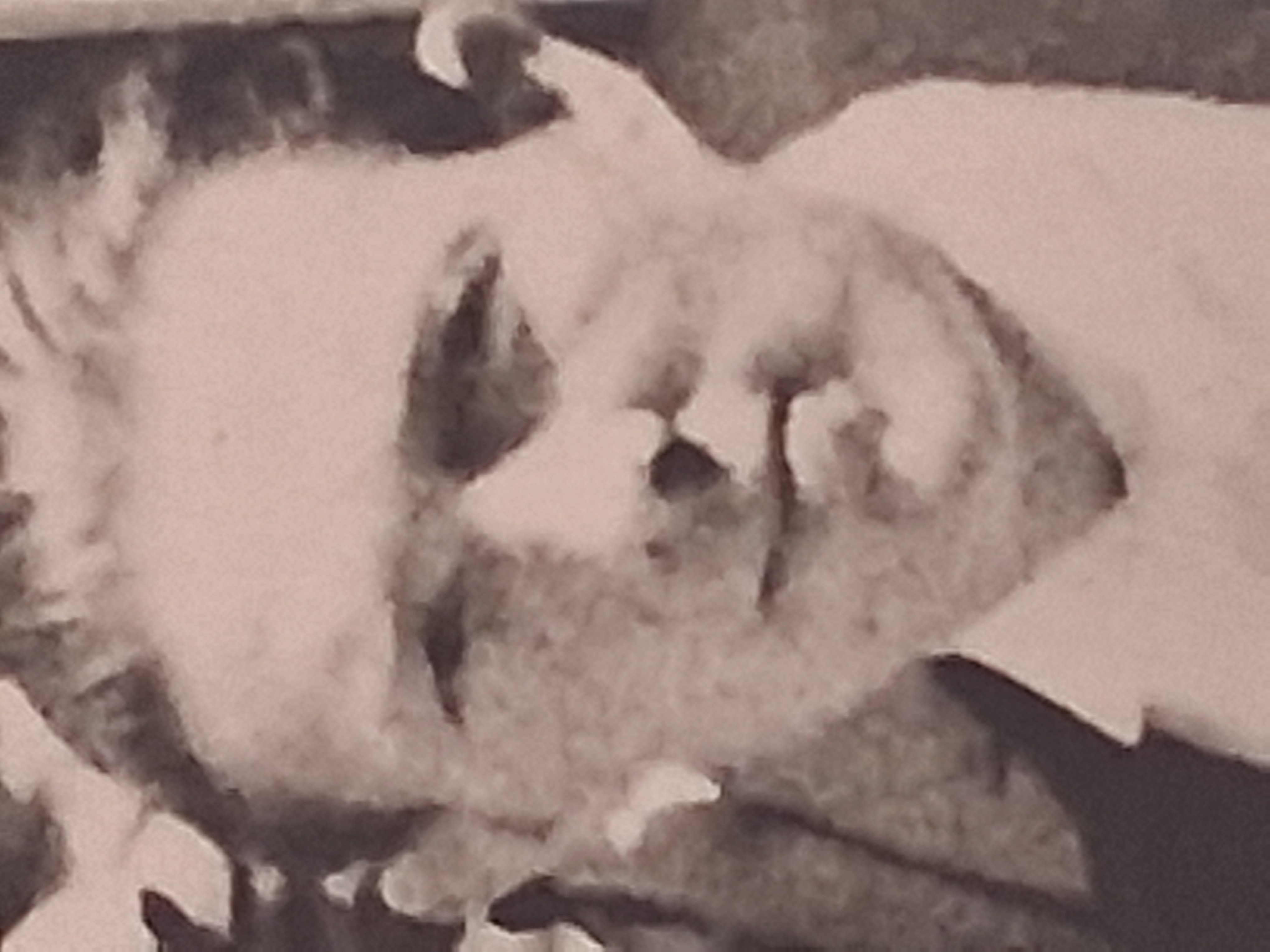 Afkomstig trouwfoto 1949