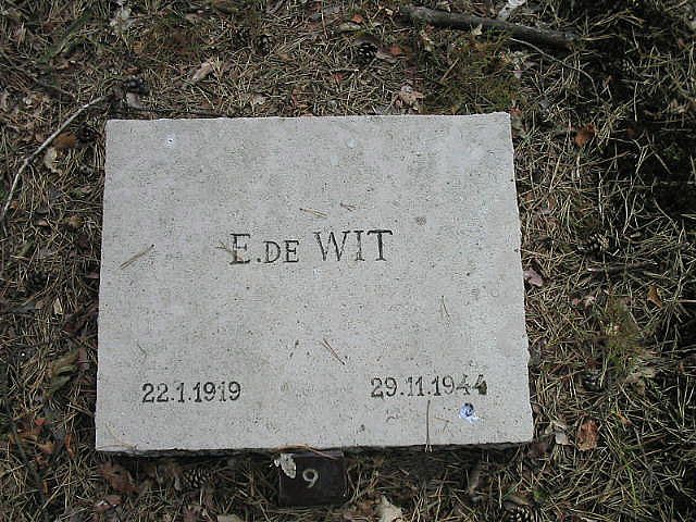 Afbeelding van graf of monument van Eltje de Wit