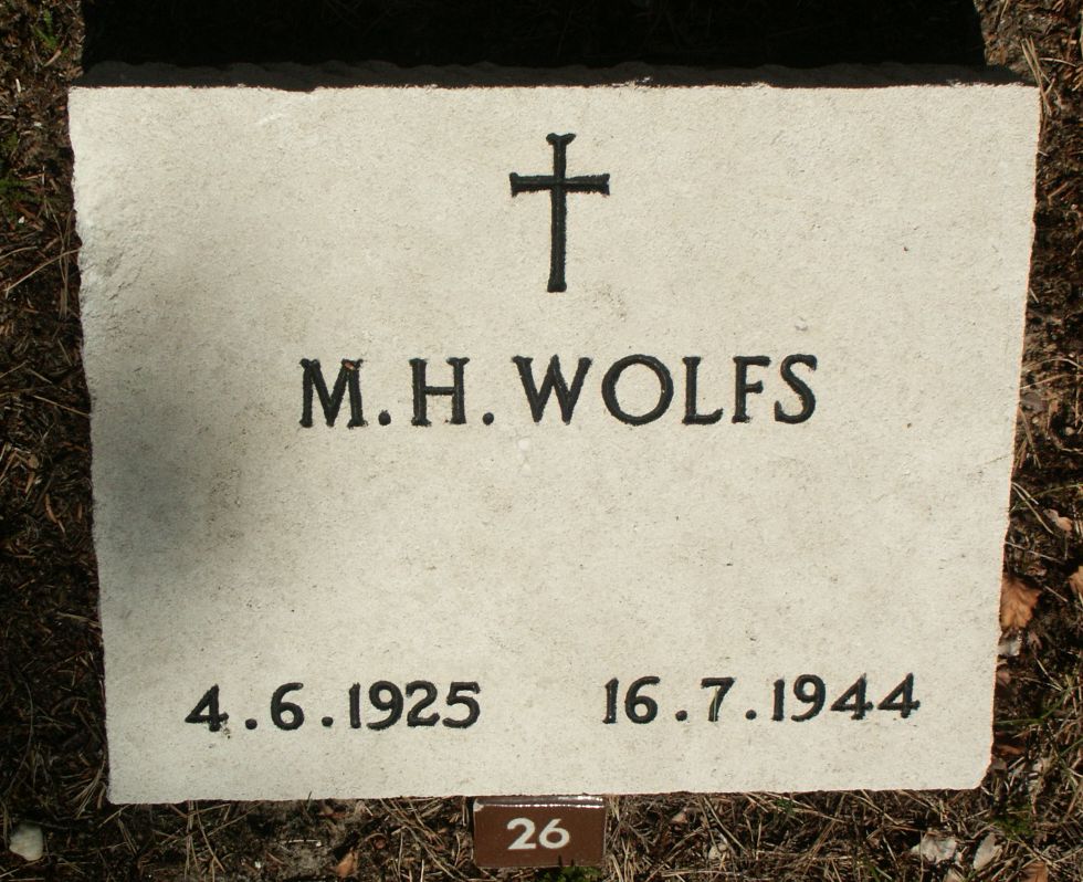 Afbeelding van graf of monument van Martin Hubertus Wolfs