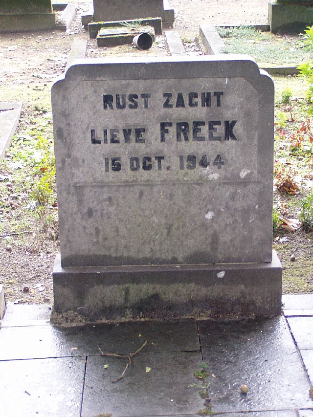 Afbeelding van graf of monument van Frederik ten Brink