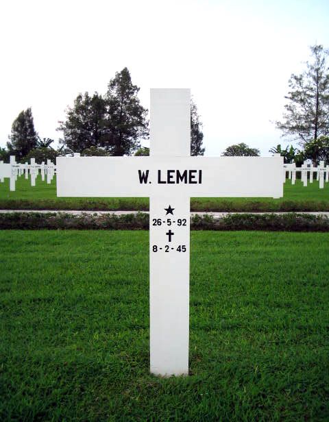 Afbeelding van graf of monument van Wijnand Lemei