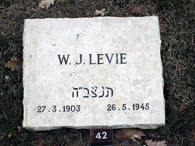 Afbeelding van graf of monument van Werner Josef Levie