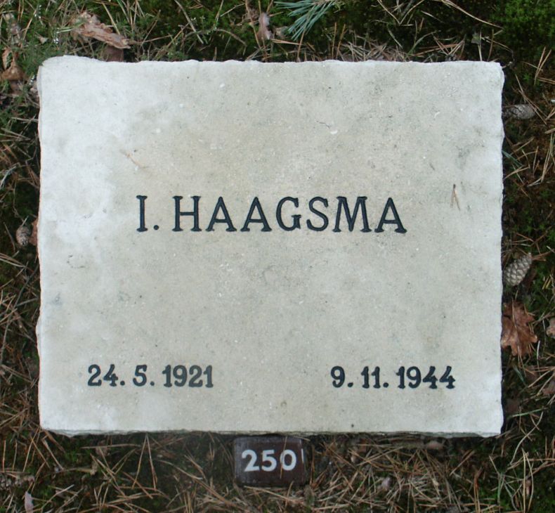 Afbeelding van graf of monument van Ids Haagsma