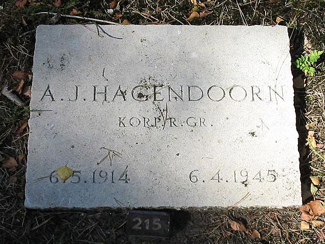 Afbeelding van graf of monument van Arnoldus Johannes Hagendoorn