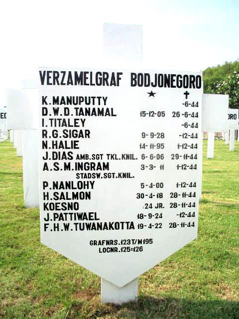 Afbeelding van graf of monument van Nanne Halie