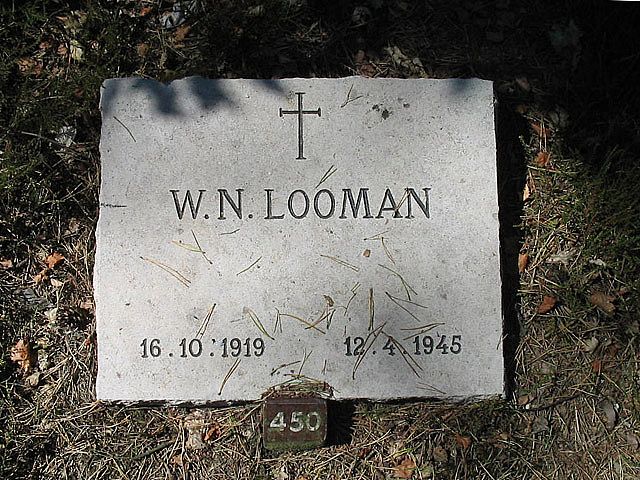 Afbeelding van graf of monument van Wilhelmus Nicolaas Looman