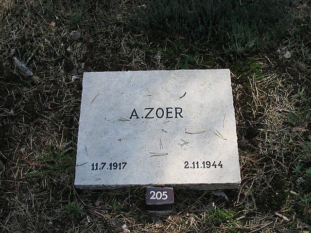 Afbeelding van graf of monument van Auke Zoer