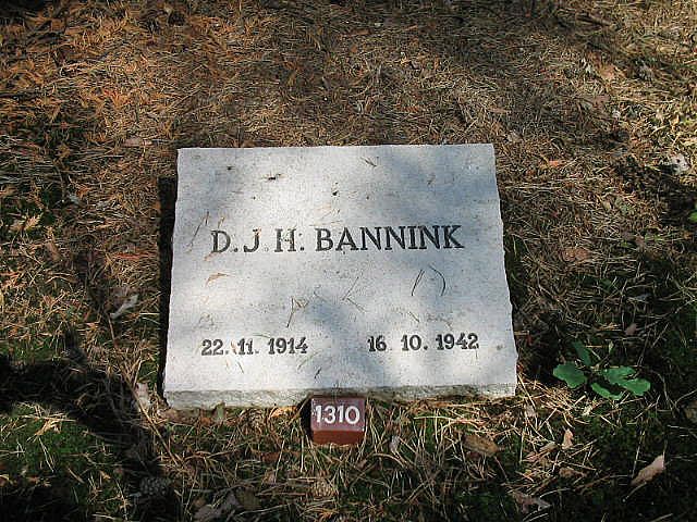 Afbeelding van graf of monument van Dirk Johan Hendrik Bannink