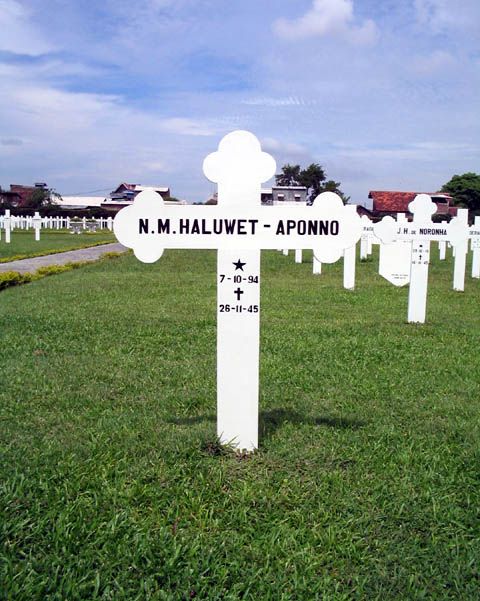 Afbeelding van graf of monument van N.M. Haluwet-Aponno
