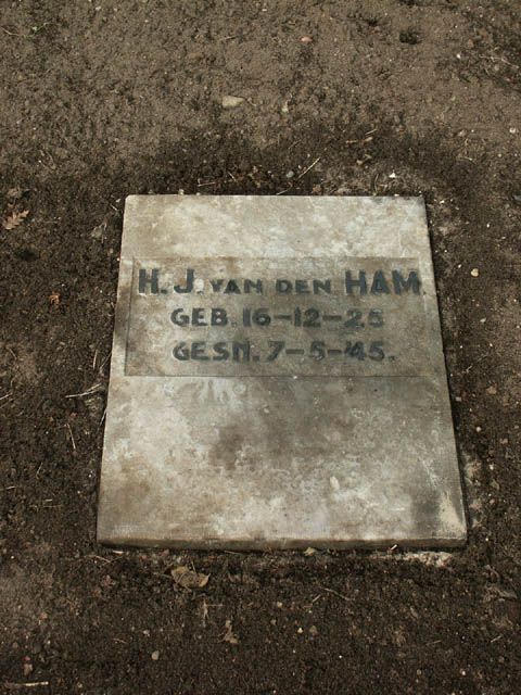Afbeelding van graf of monument van Hendrik Joan van den Ham