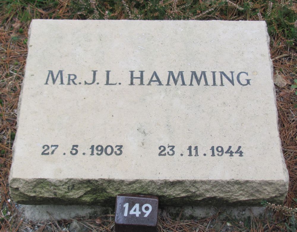 Afbeelding van graf of monument van Jacob Lodewijk Hamming