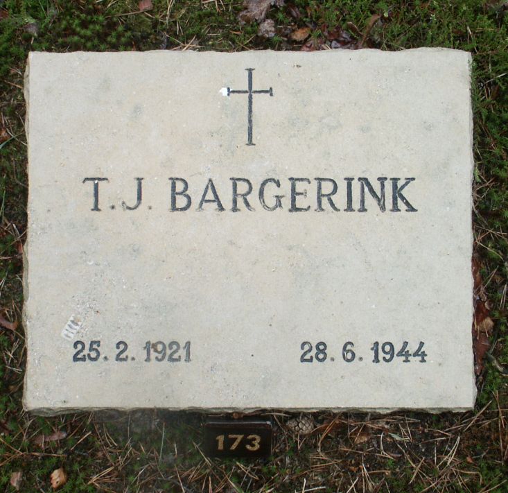 Afbeelding van graf of monument van Theodorus Johannes Bargerink
