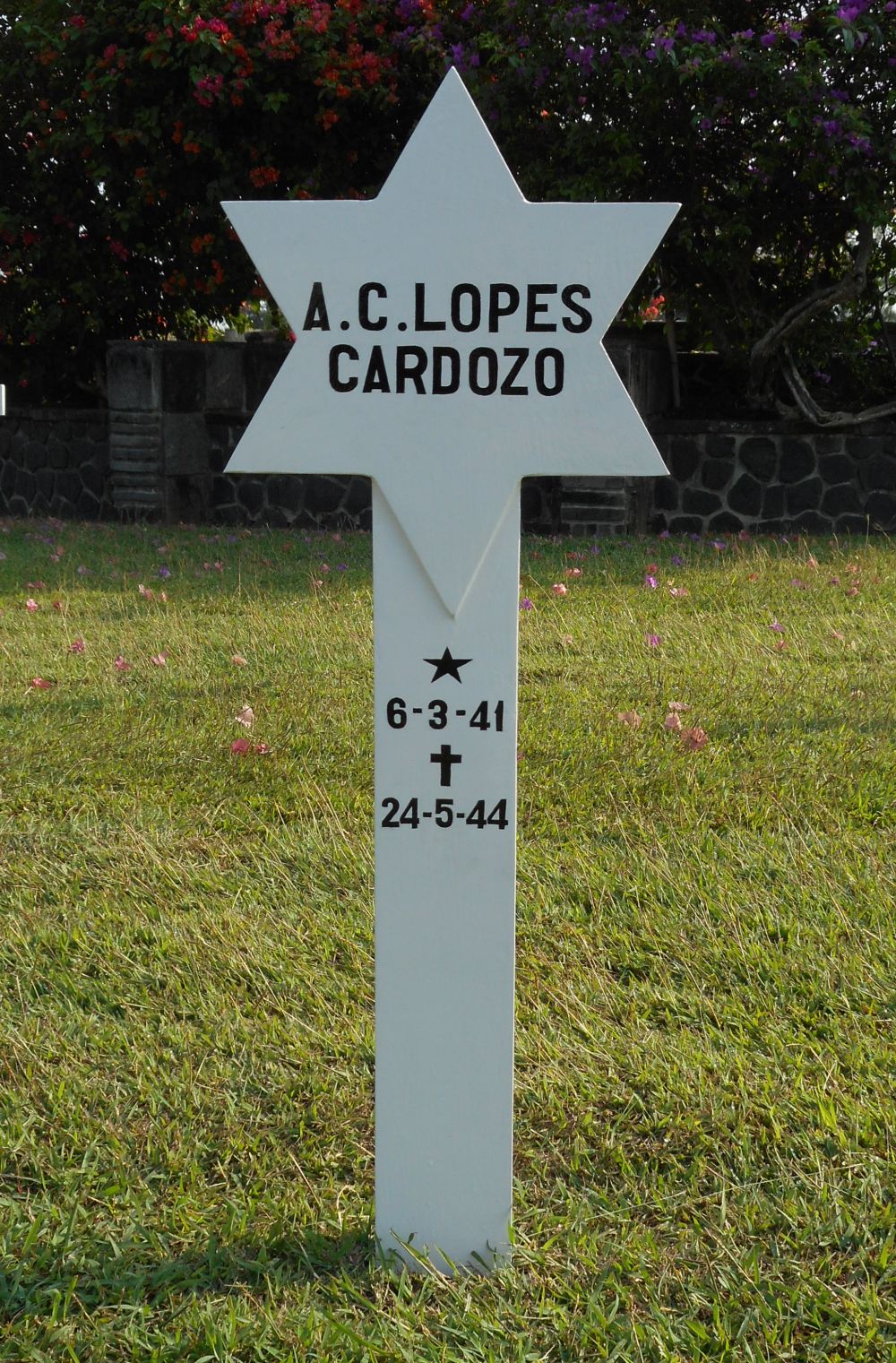 Afbeelding van graf of monument van Aletta Celine Lopes Cardozo
