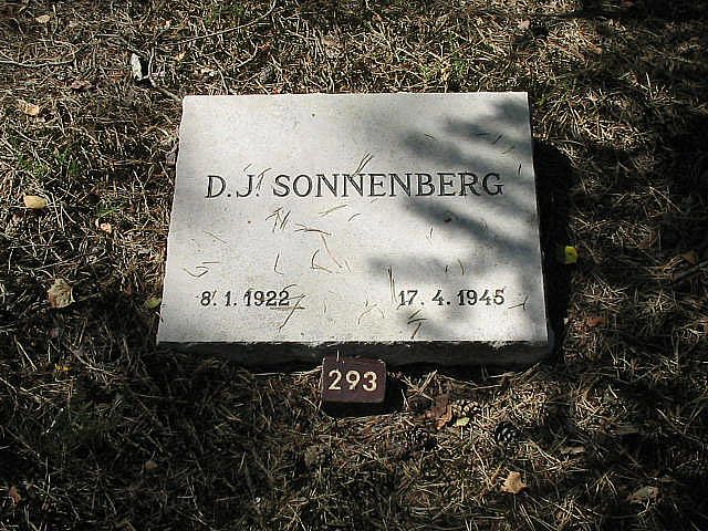 Afbeelding van graf of monument van David Johan Sonnenberg