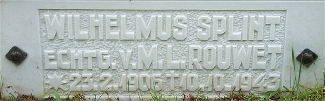 Afbeelding van graf of monument van Wilhelmus Splint