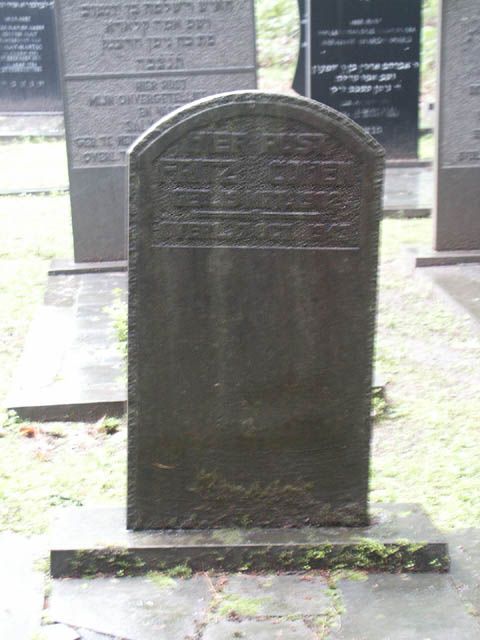Afbeelding van graf of monument van Fritz Cohen