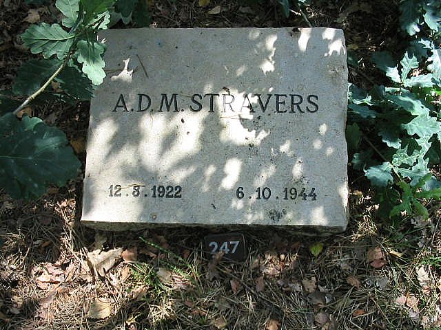 149833.JPG