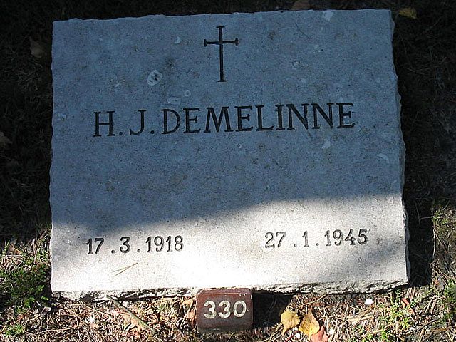 Afbeelding van graf of monument van Hendrik Johannes Demelinne