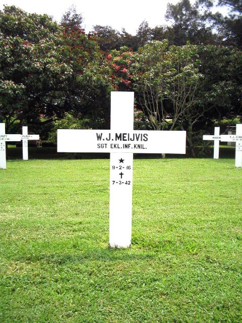 Afbeelding van graf of monument van Wilhelmus Johannes Meijvis