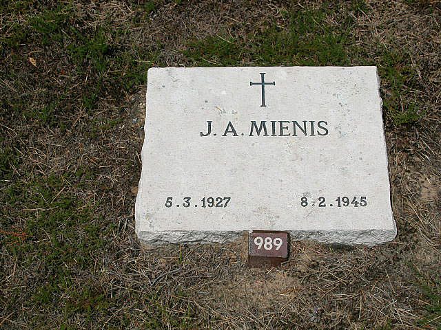 Afbeelding van graf of monument van Joannes Albert Mienis