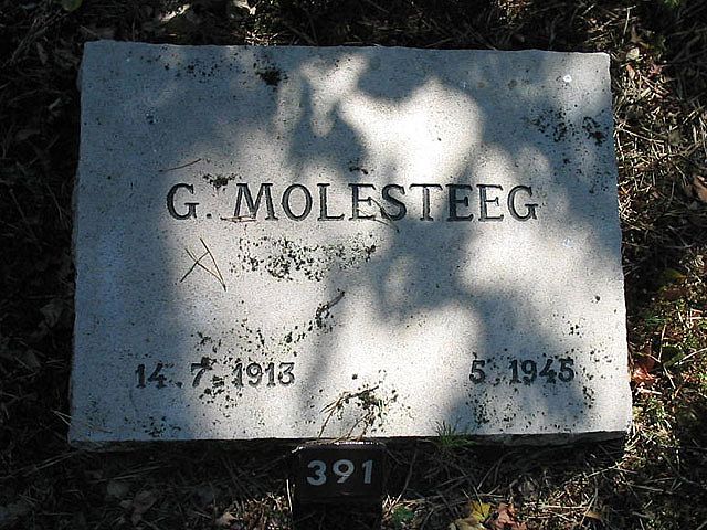 Afbeelding van graf of monument van Gerrit Molesteeg