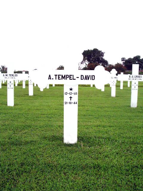 Afbeelding van graf of monument van Annie Tempel-David