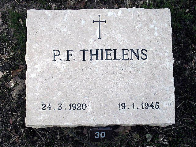 Afbeelding van graf of monument van Petrus Franciscus Thielens