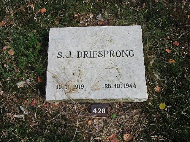 Afbeelding van graf of monument van Stefanus Jacobus Driesprong