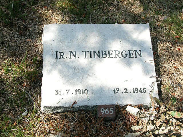 Afbeelding van graf of monument van Nicolaas Tinbergen