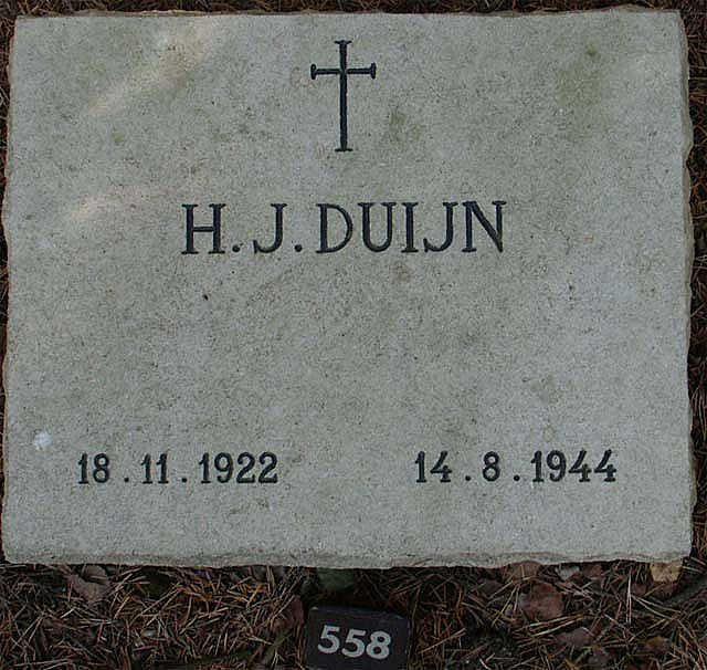 Afbeelding van graf of monument van Hendricus Johannes Duijn