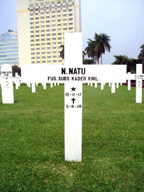 Afbeelding van graf of monument van Nicanor Natu