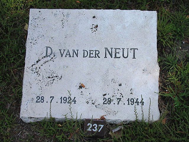 Afbeelding van graf of monument van Dirk van der Neut