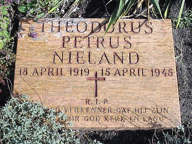 Afbeelding van graf of monument van Theodorus Petrus Nieland