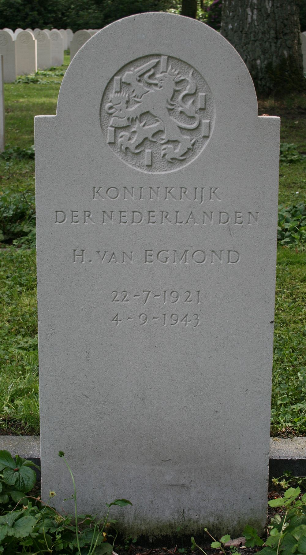 Afbeelding van graf of monument van Hendrik van Egmond