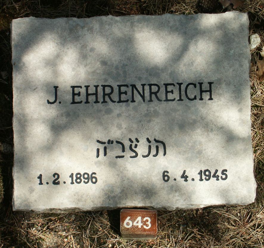 Afbeelding van graf of monument van Jacob Ehrenreich