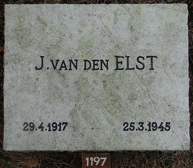 Afbeelding van graf of monument van Johannes van den Elst
