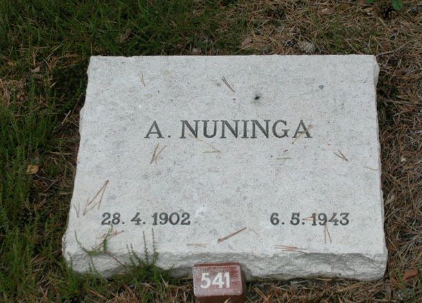 Afbeelding van graf of monument van Arien Nuninga
