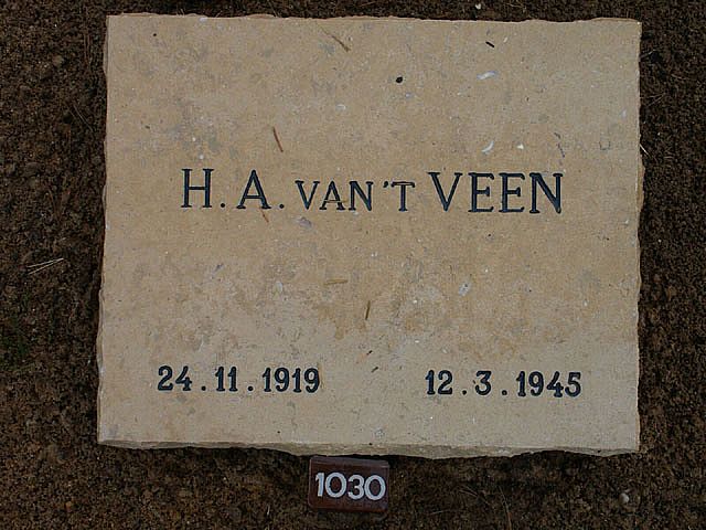 Afbeelding van graf of monument van Hans Antonie van 't Veen