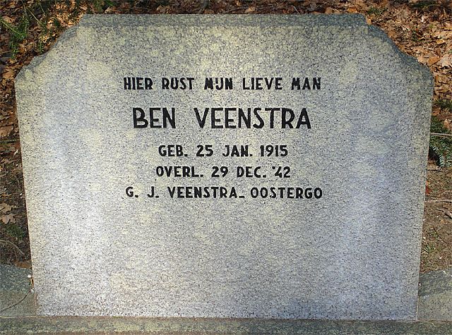 Afbeelding van graf of monument van Binne Veenstra