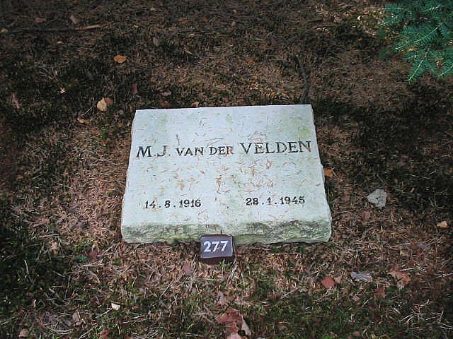 Afbeelding van graf of monument van Marinus Johannes van der Velden