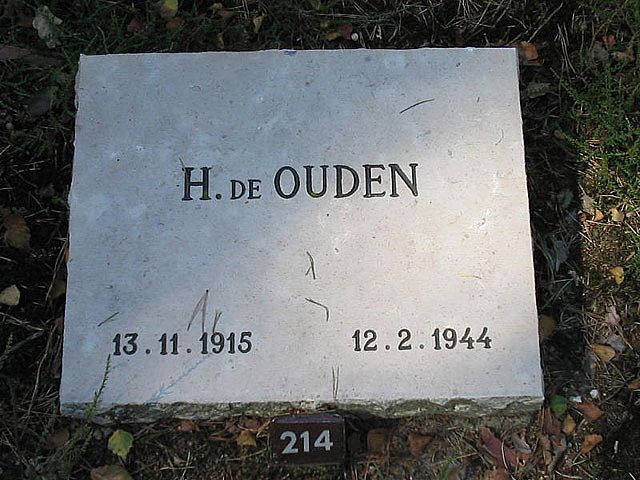 Afbeelding van graf of monument van Hendrik de Ouden