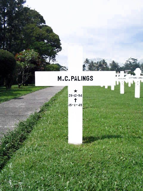 Afbeelding van graf of monument van Marinus Cornelius Palings