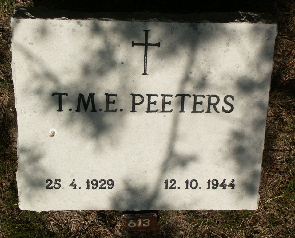 Afbeelding van graf of monument van Theodora Maria Elisabeth Peeters
