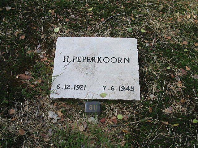 Afbeelding van graf of monument van Hendrik Peperkoorn