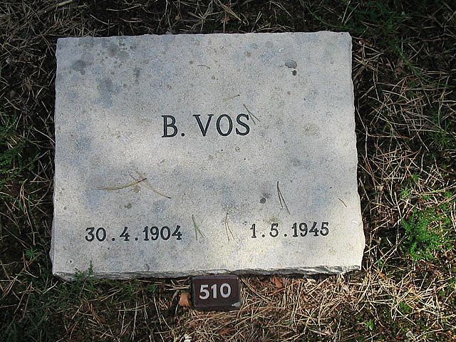 Afbeelding van graf of monument van Bernardus Vos