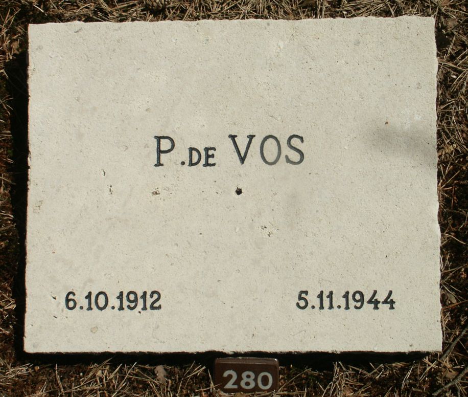 Afbeelding van graf of monument van Peter de Vos